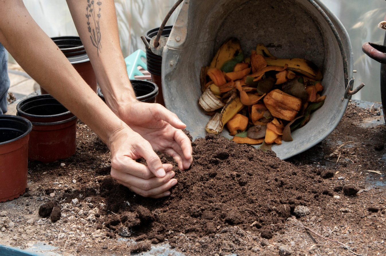 Economía circular y bioeconomía