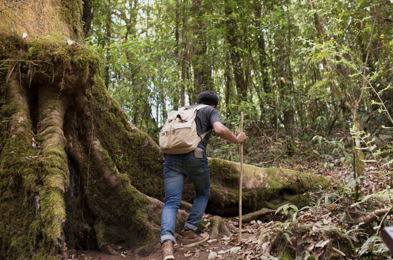 Soluciones Basadas en la Naturaleza para negocios