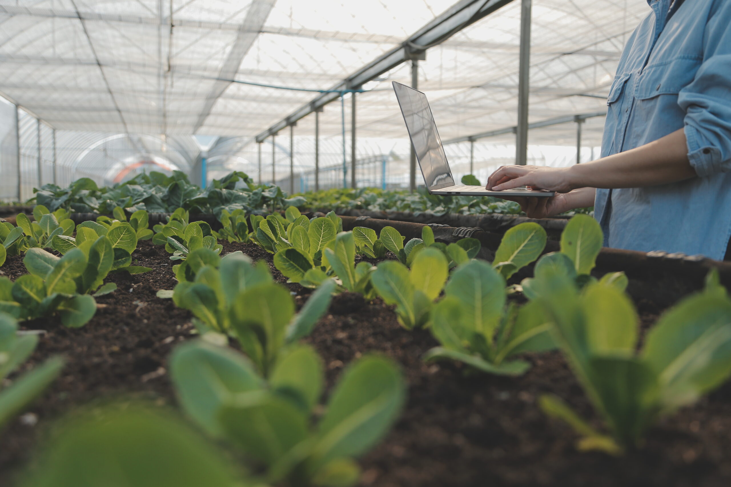 Escalamiento de Tecnologías Agropecuarias Sostenibles en Costa Rica