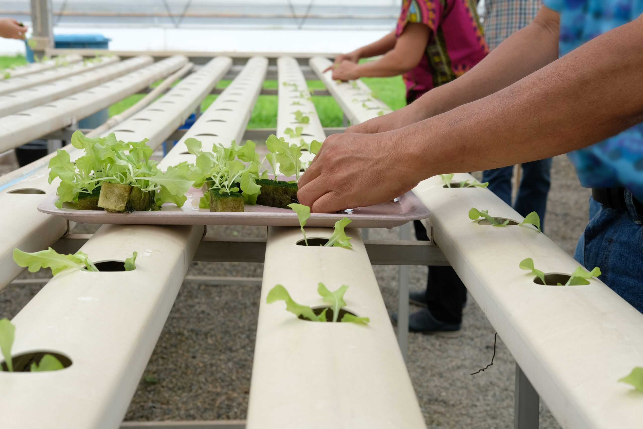Diseño y gestión de instrumentos de financiamiento e impacto