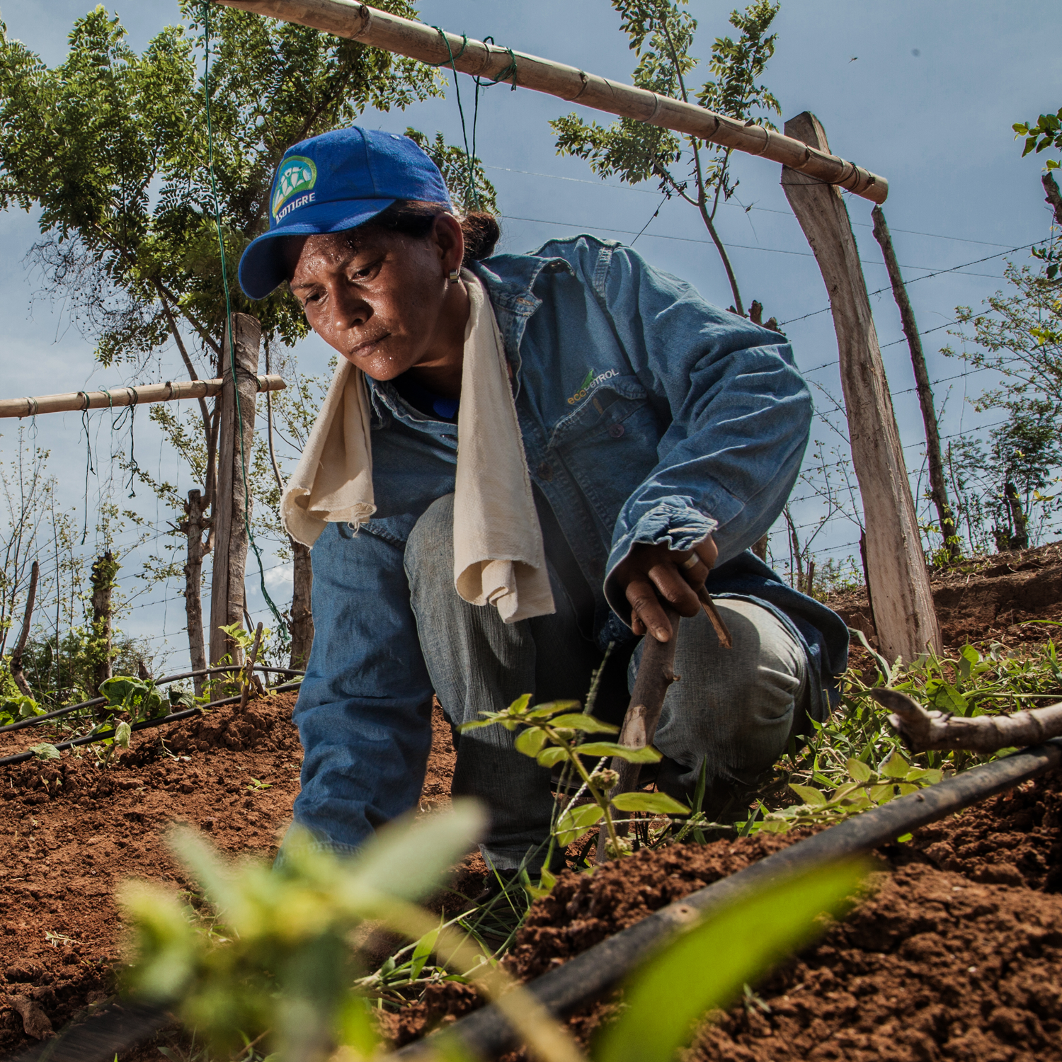 Equipo FUNDES alternativo