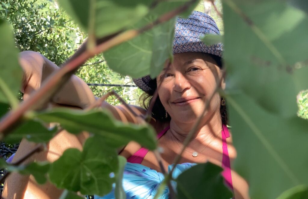 Fonde Recuperación Verde