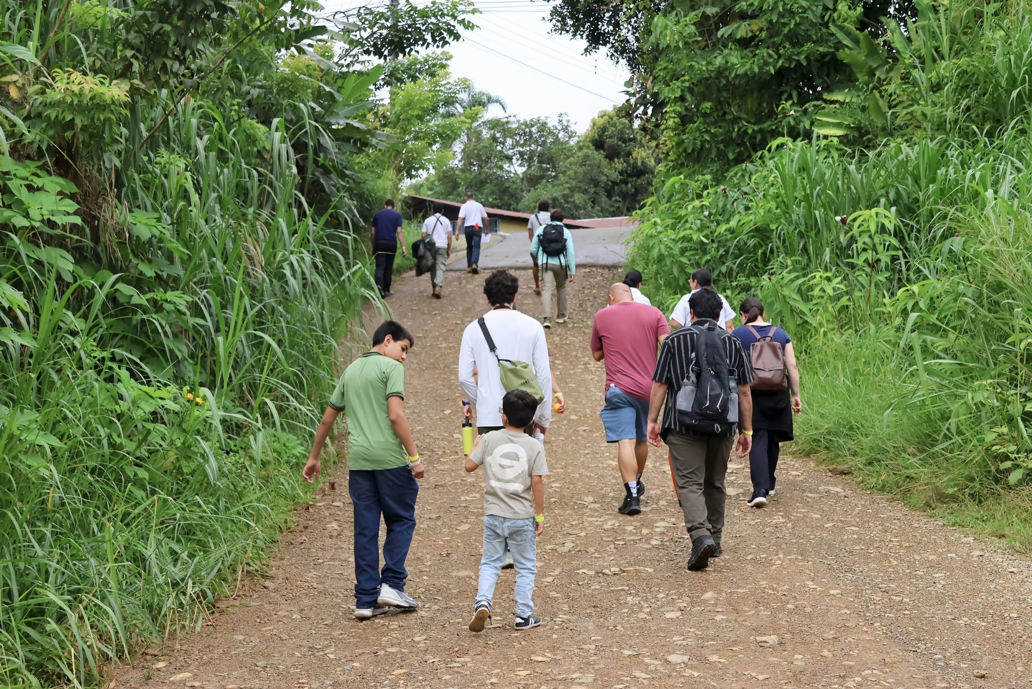 Galería