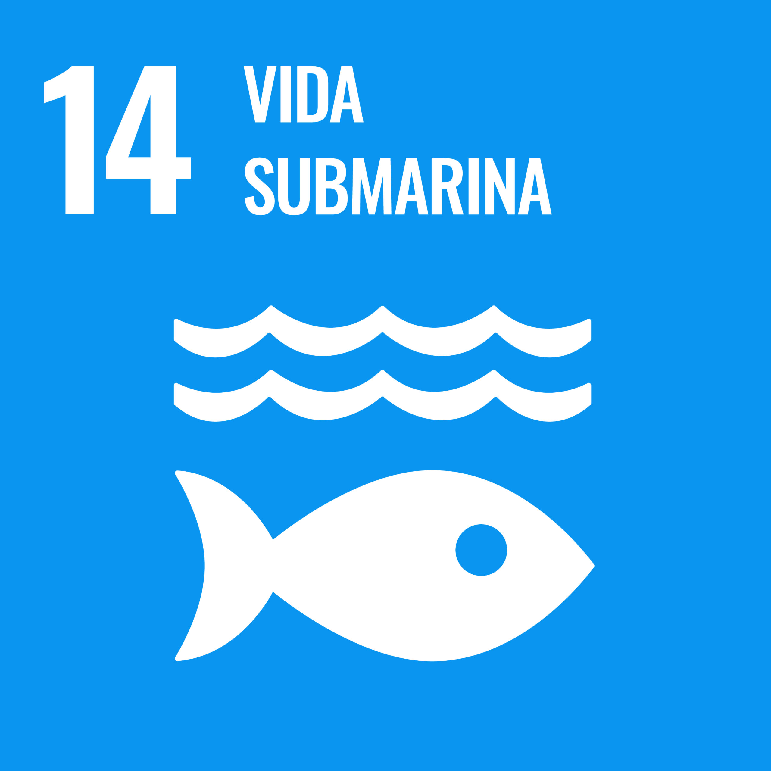 ODS - Vida Submarina